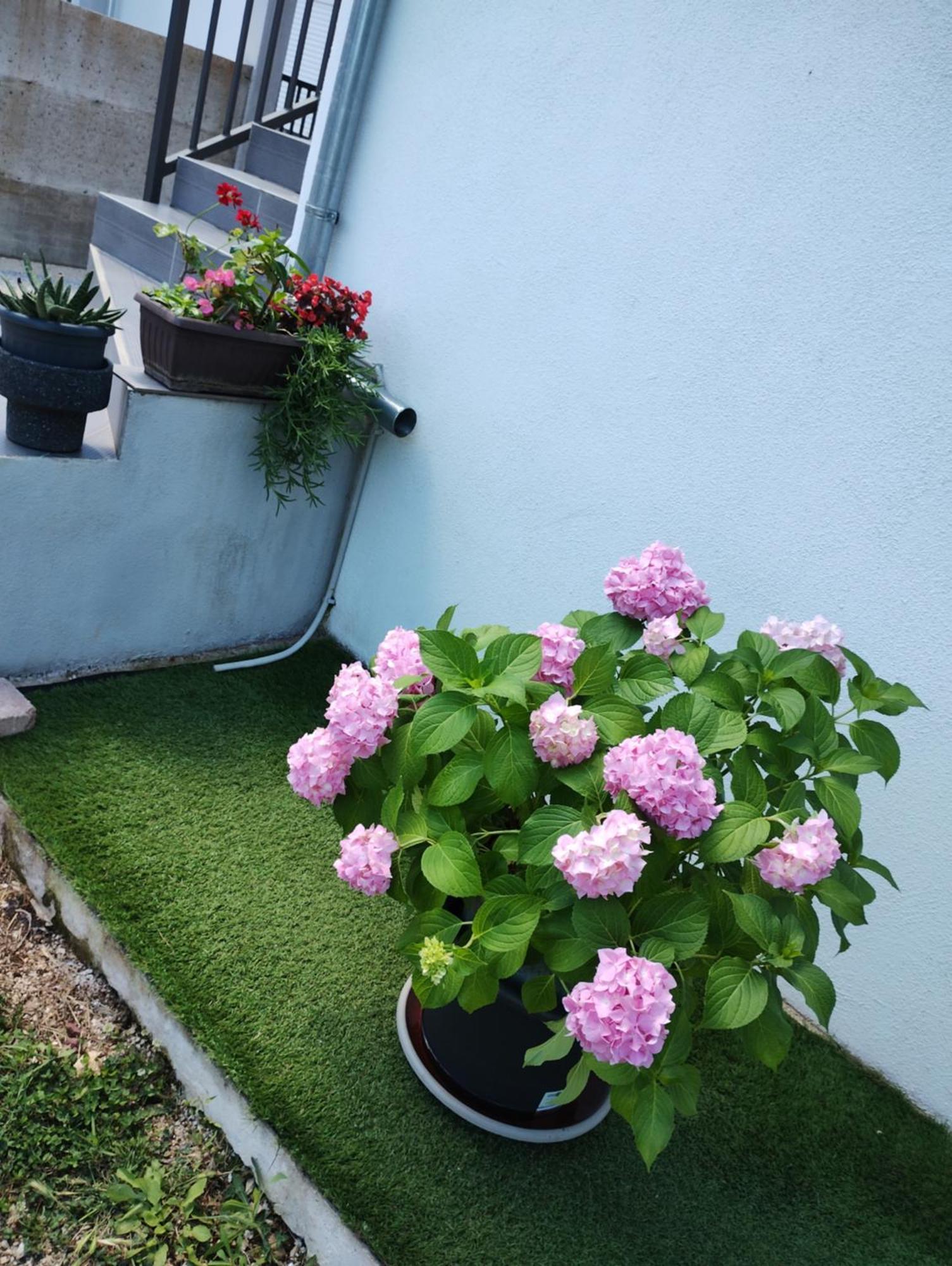 Apartman Enia Murvica  Zimmer foto